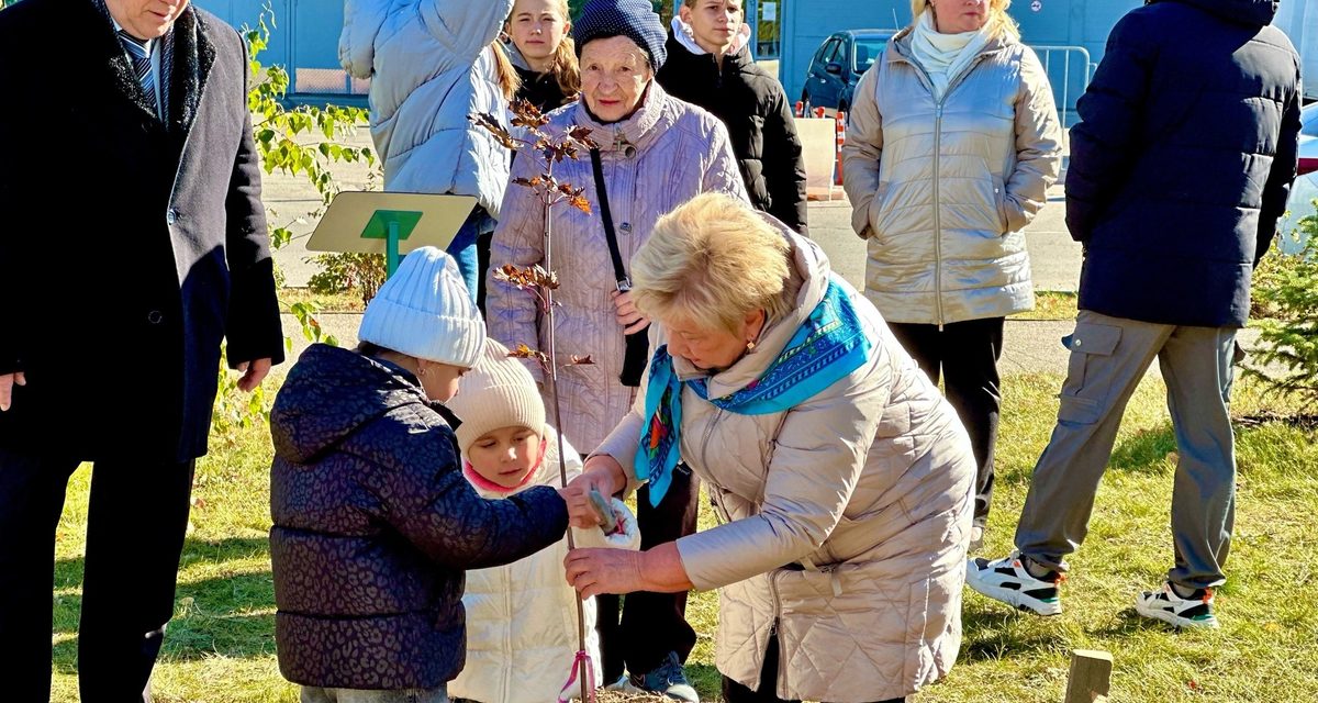 Восемь пар, проживших вместе полвека, посадили деревья на Аллее золотых юбиляров
